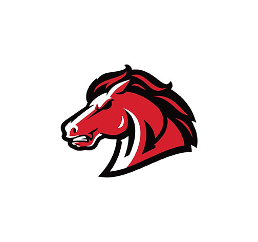 Union Grove High School District